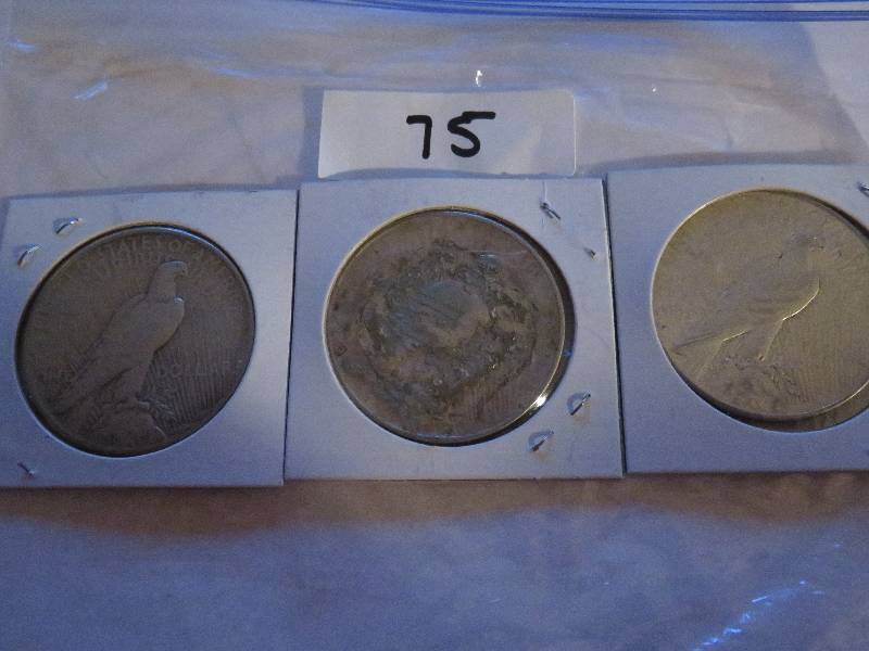 Dollar Coins (Lot of 3)