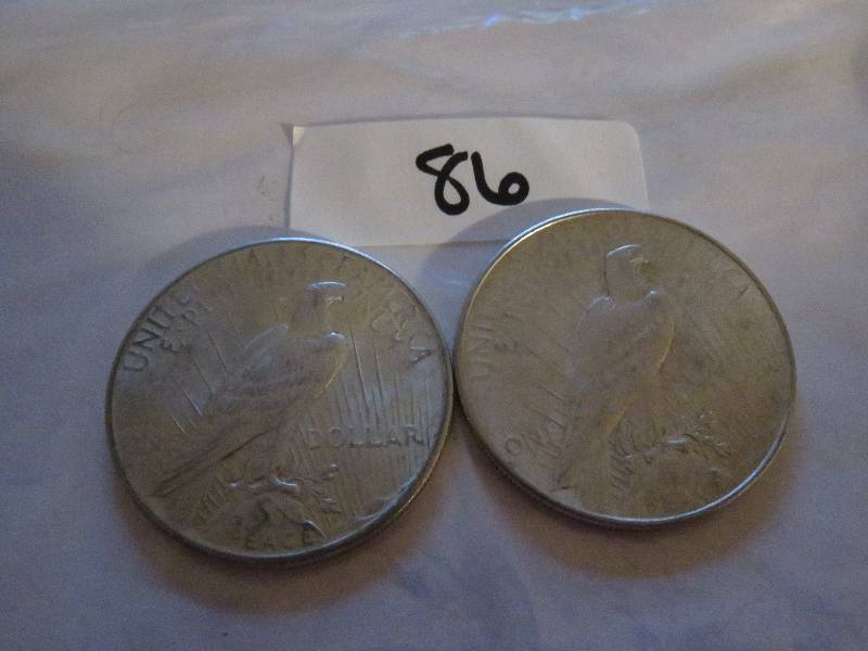 Dollar Coins (Lot of 2)