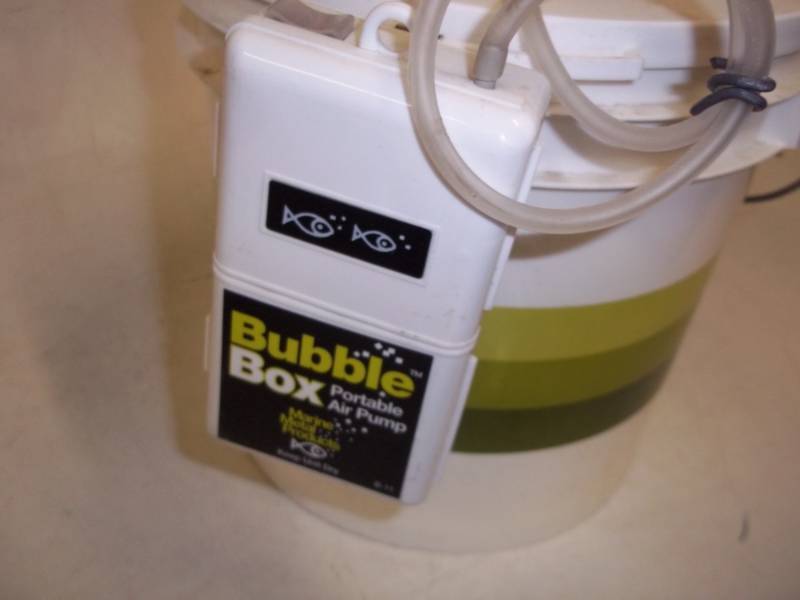 Cool Bubbles Insulated Bait Saver