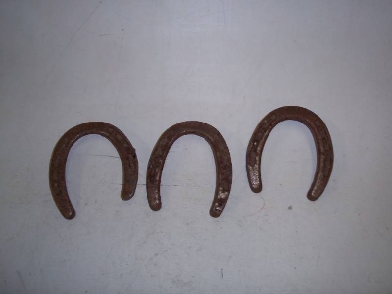 3 horseshoes