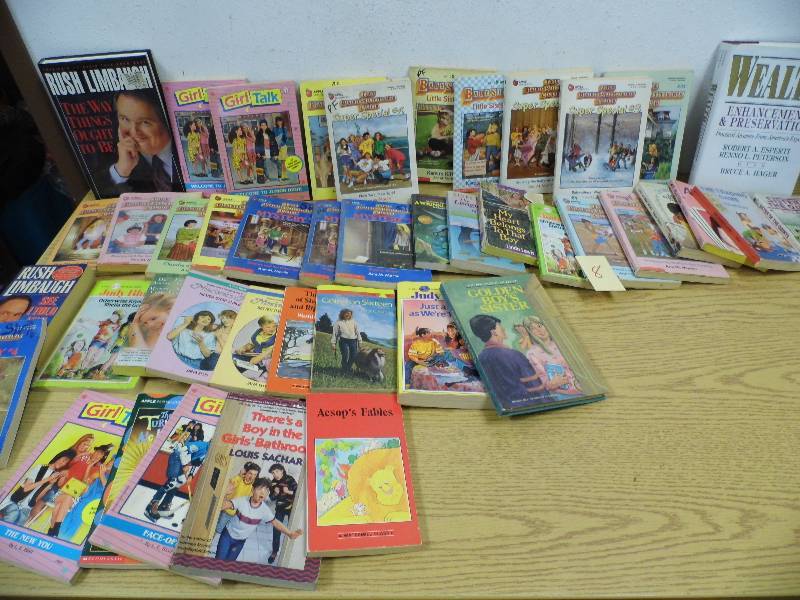 Babysitters Club Books & More