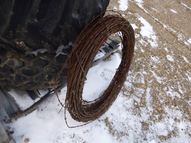 Decorative Barb Wire