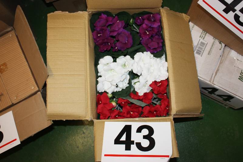 Case of 6 12�� Plants in Wooden Planters