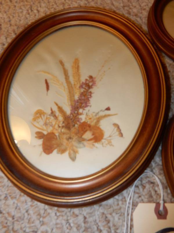 3 Oval, Dried flowerplant pictures