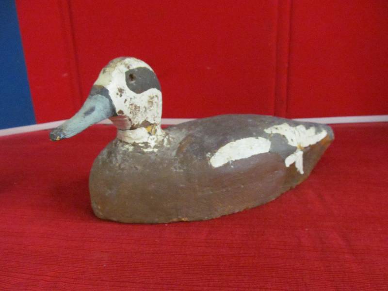 duck