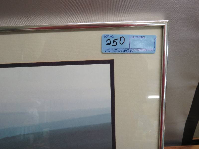 lot 250 image: Framed Landscape Print