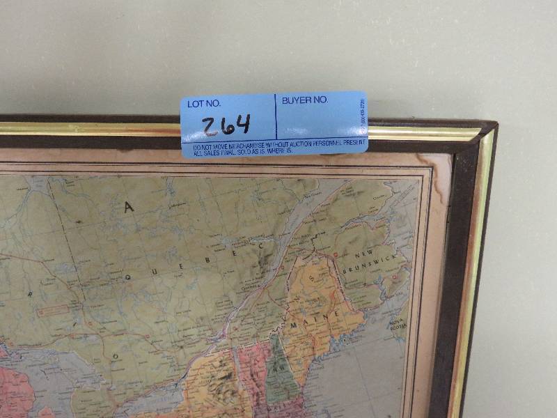 lot 264 image: Framed US Travel Map