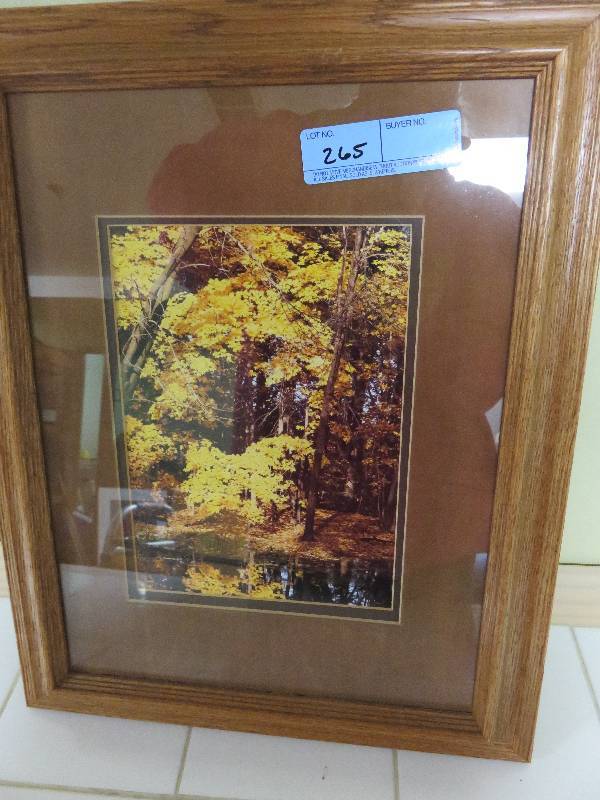 lot 265 image: Framed Photo of Fall Outdoors