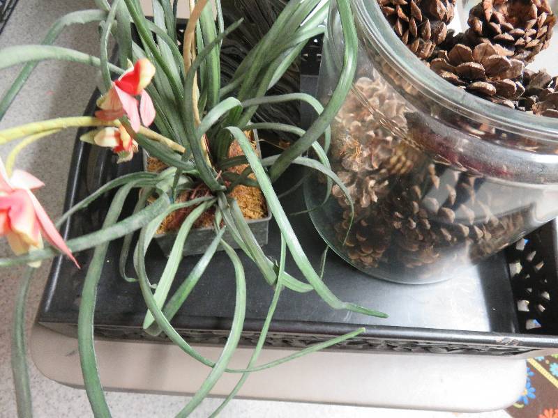 lot 317 image: Home Dcor Lot