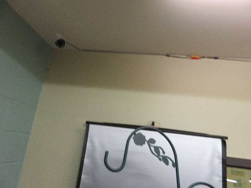 lot 353 image: Collections of Outdoor Plant Hangers & Dcor