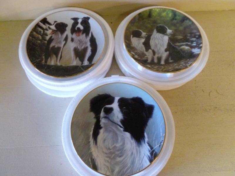 Collector Plates