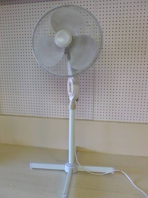 Fan