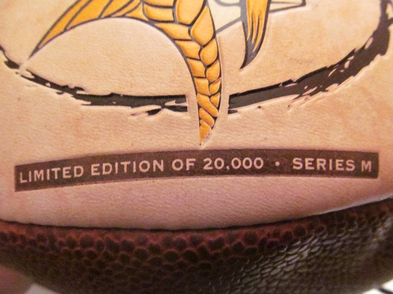 Vikings Football