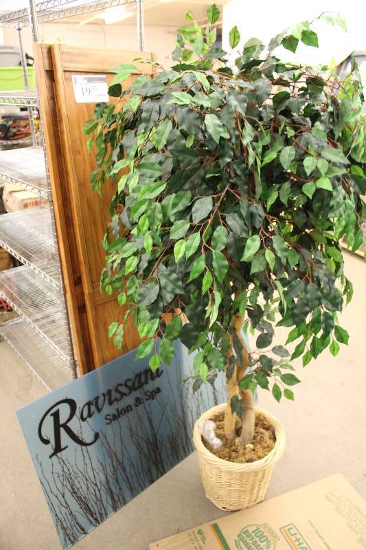 lot 19 image: Wooden Doors (2), Artificial Tree (1) and sign
