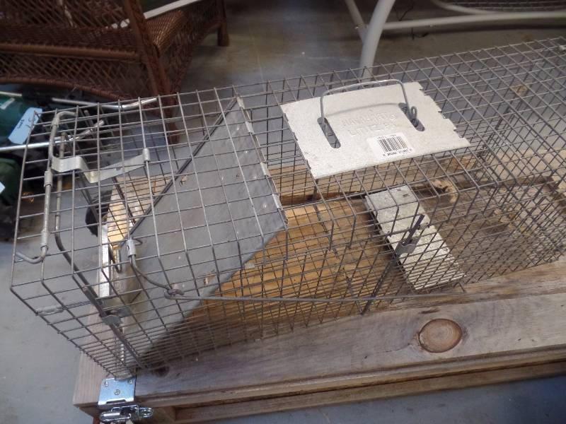 lot 39 image: Live Trap
