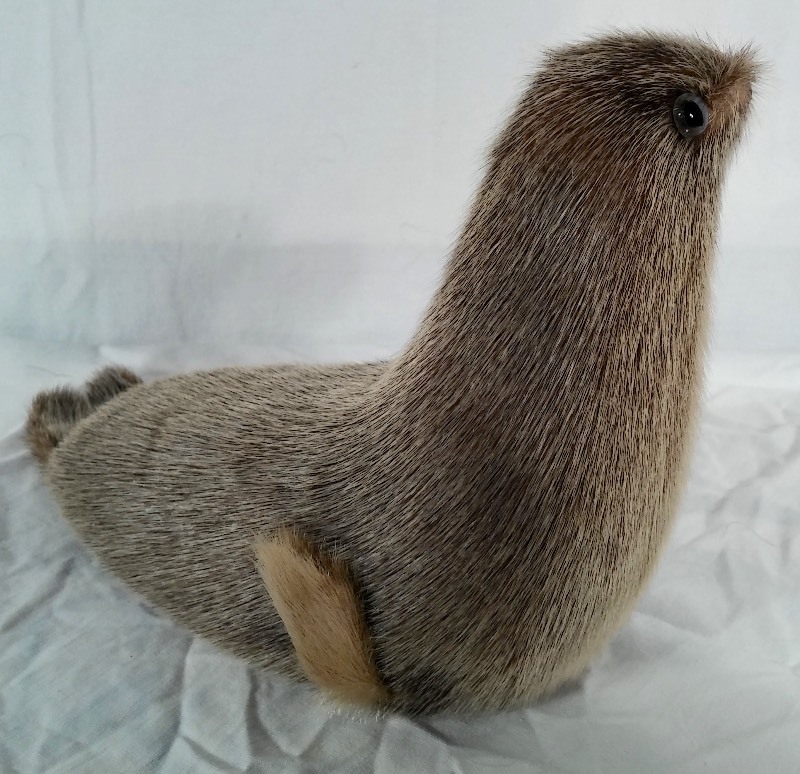 Seal Made From Genuine Seal Skin