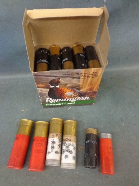 Shot Shells