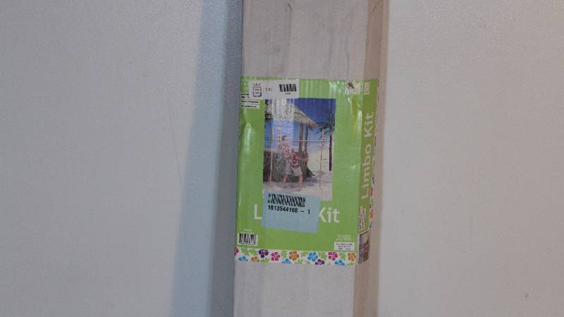 Fun Express Limbo Kit