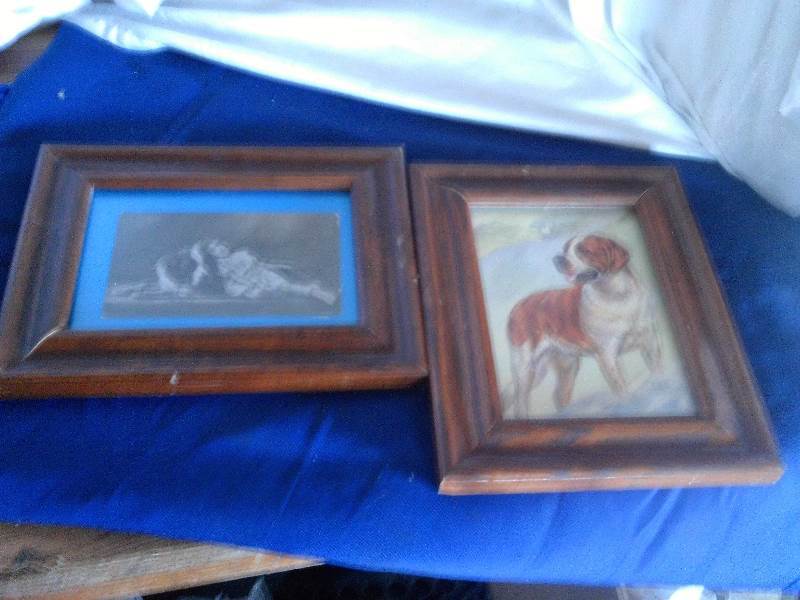 2 vintage st bernard pictures