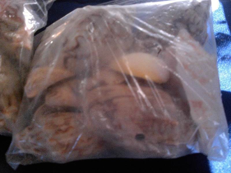 2 bags full of seashells