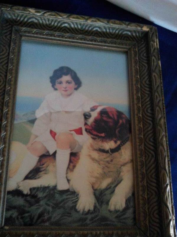 vintage st bernard and girl picture