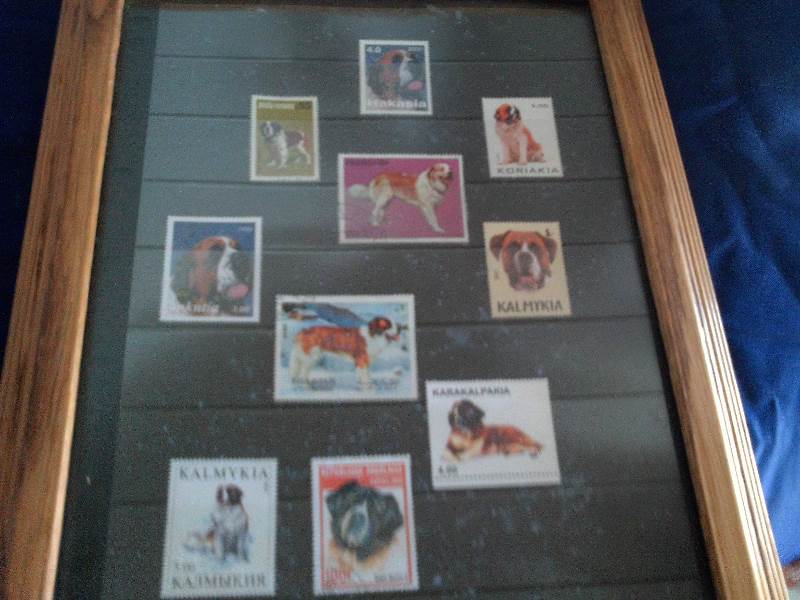 vintage framed st bernard stamps