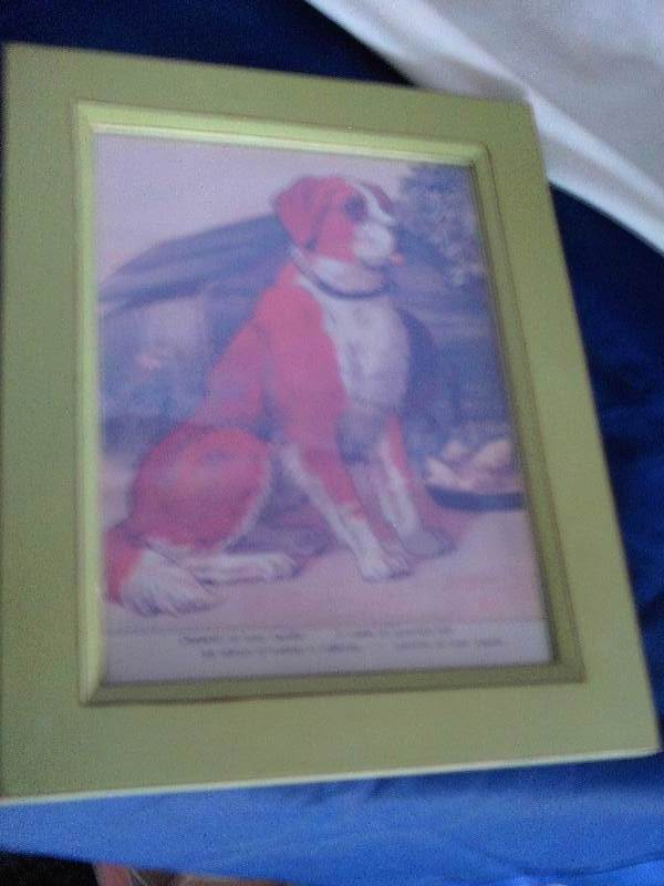 vintage st bernard picture