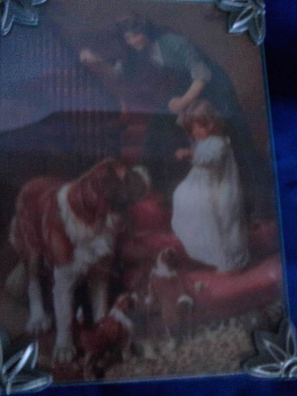 vintage st bernard picture
