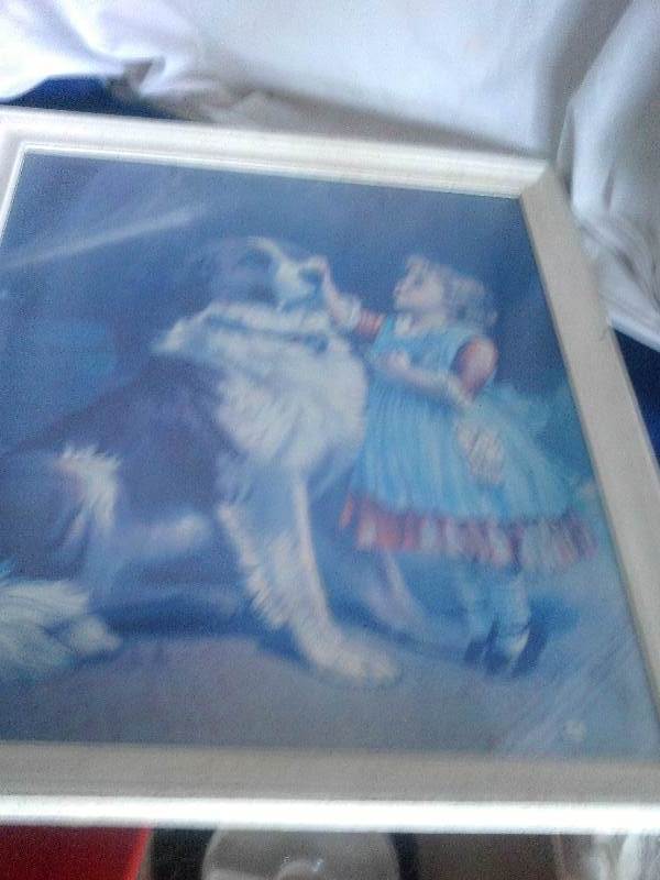 vintage st bernard picture