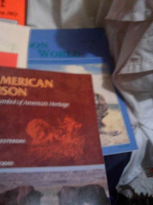 vintage buffalo magazines