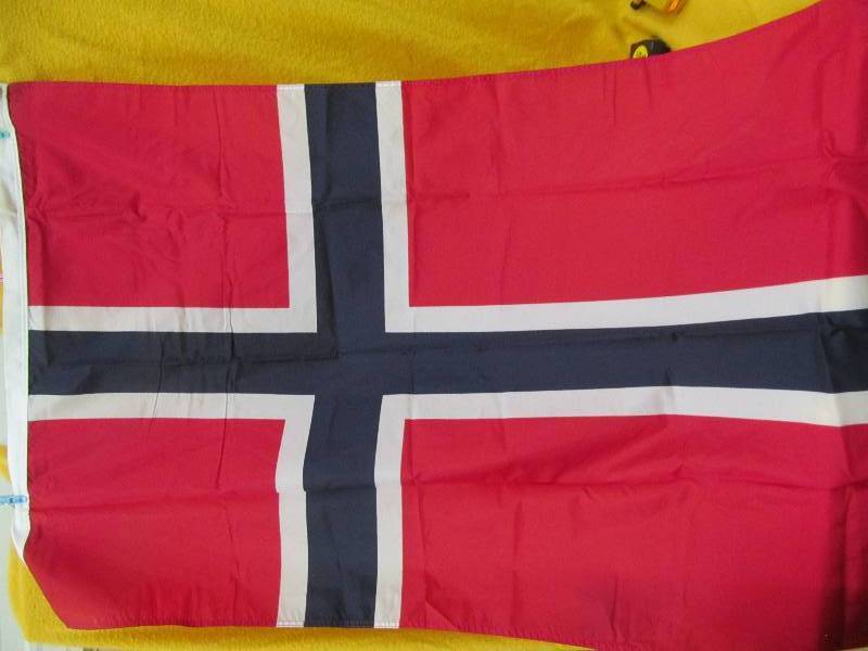 lot 256 image: Norwegian Flag