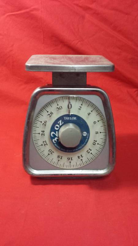 Taylor Stainless Steel Scale