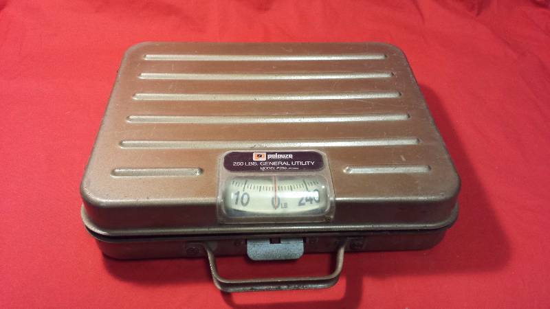 Pelouze General Utility Scale