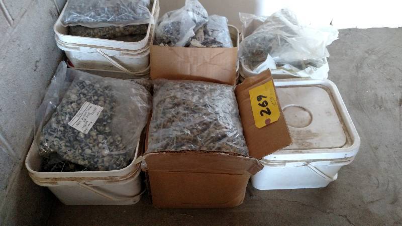 Approx. 19000 Light Stone Screws...