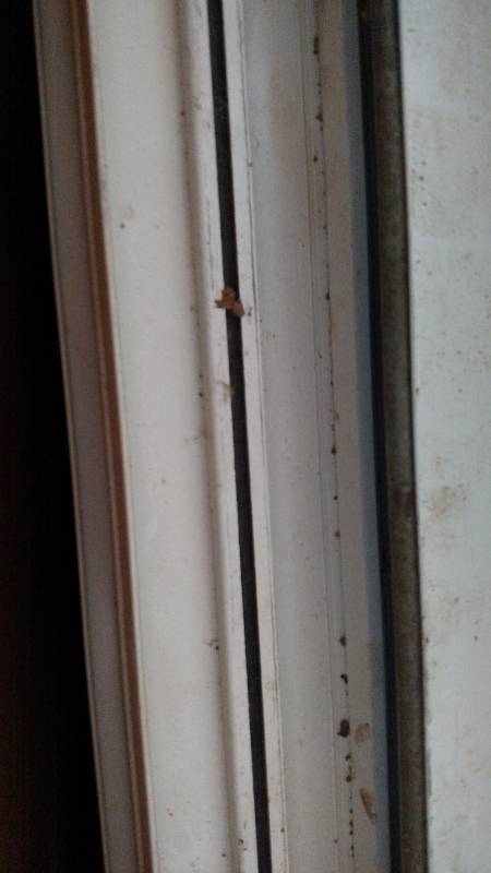 AJ 9002 Easy Fit Window, 48 x 36, N...