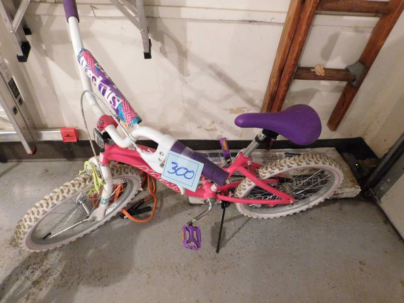 lot 300 image: girls bike precious magna