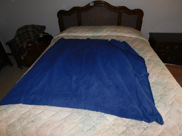 lot 382 image: blue fleece blanket