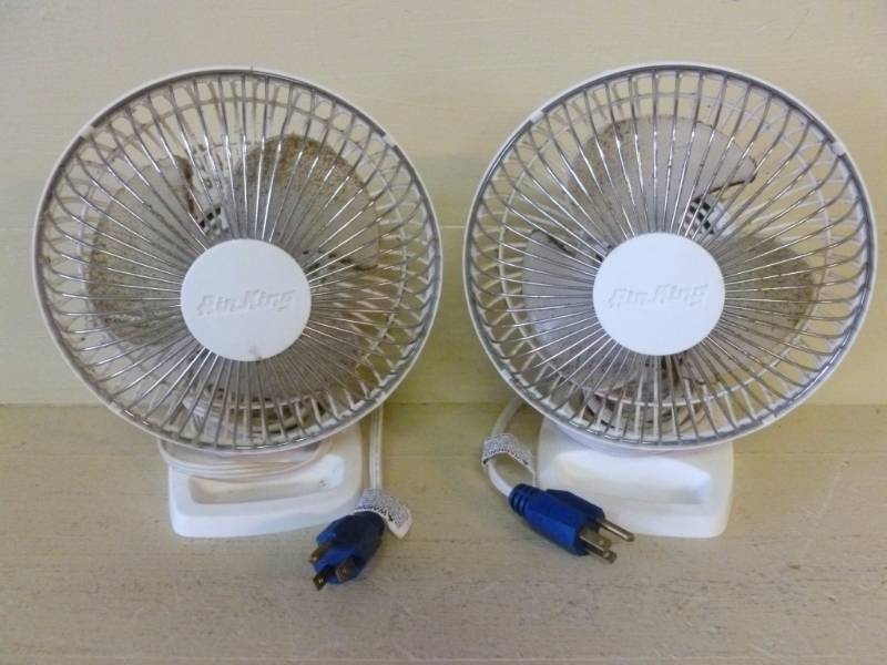 Fans