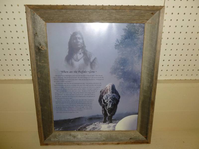 Native American Themed