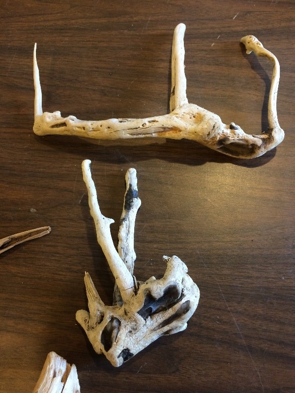 Driftwood (dry)  lot of 4  suer beautiful pieces   lot of 6