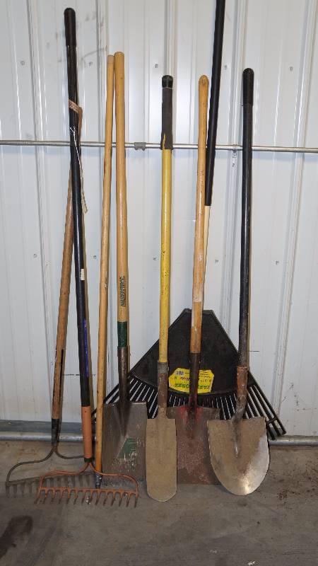 Lot of Rakes & Shovels