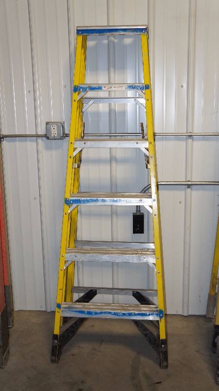 Werner 375 lbs. Load Capacity 6 Fiberglass Ladder