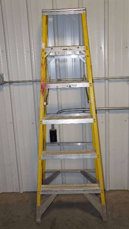 Werner 375 lbs. Load Capacity 6 Fiberglass Ladder
