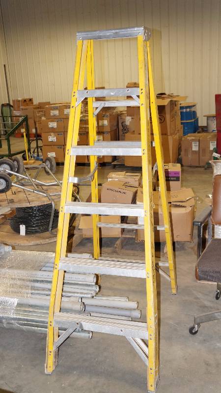 Werner 6 Fiberglass Ladder