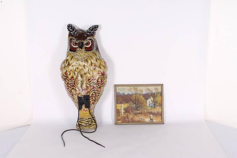 Vintage Blow-up Owl and Picture w. ...