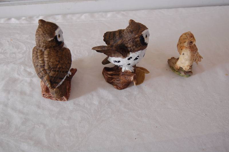 Owls