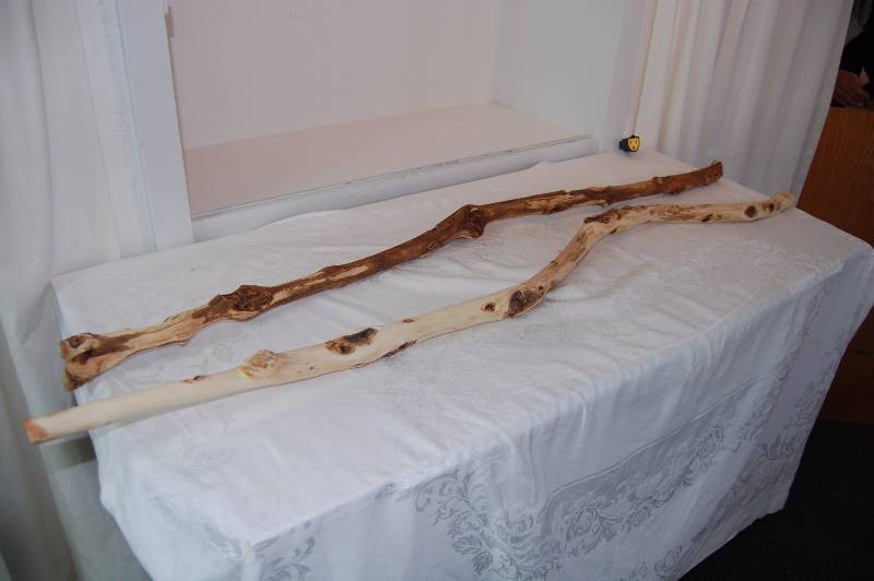 Walking Sticks