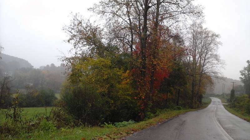 4.14 Acre Lot in Sweetwater, Tennessee - Owner Financed Terms