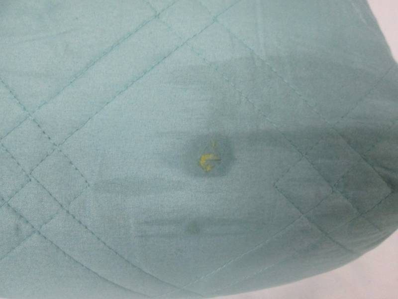 lot 29 image: Sure Fit Microfiber Nonskid Pet Sofa Cover