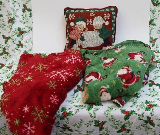 Decorative Pillow and 2 Fleece Throws